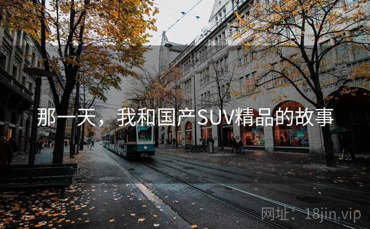 那一天，我和国产SUV精品的故事