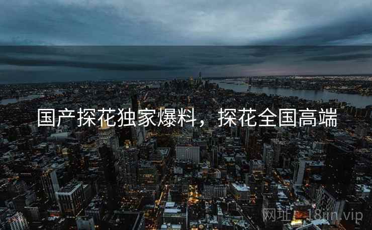 国产探花独家爆料，探花全国高端