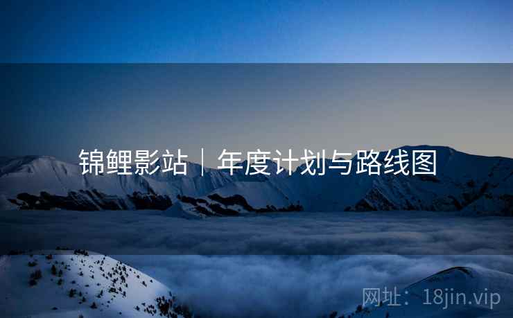 锦鲤影站｜年度计划与路线图