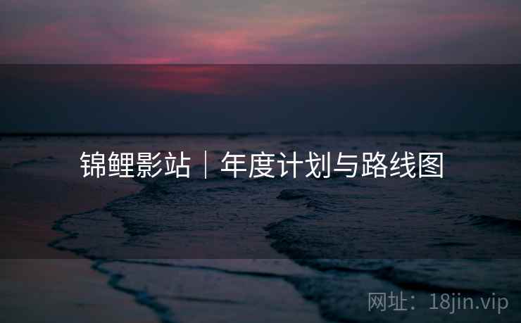 锦鲤影站｜年度计划与路线图