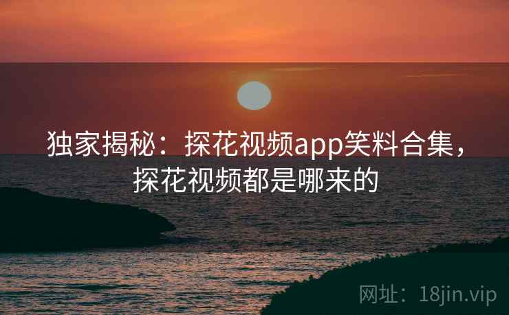 独家揭秘：探花视频app笑料合集，探花视频都是哪来的