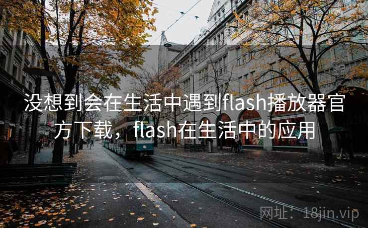 没想到会在生活中遇到flash播放器官方下载,flash在生活中的应用 没想到会在生活中遇到flash播放器官方下载,flash在生活中的应用