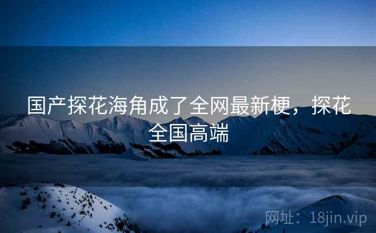 国产探花海角成了全网最新梗，探花全国高端
